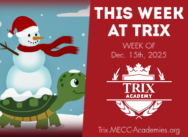 Trix Academy